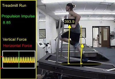 Bachelor Of Science Degree - Exercise Science: Professional Track ...